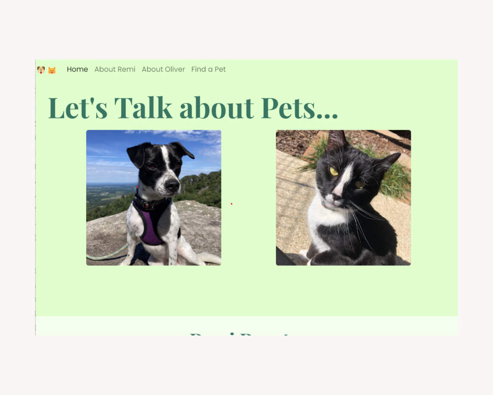 Screenshot of Pets Landing Page